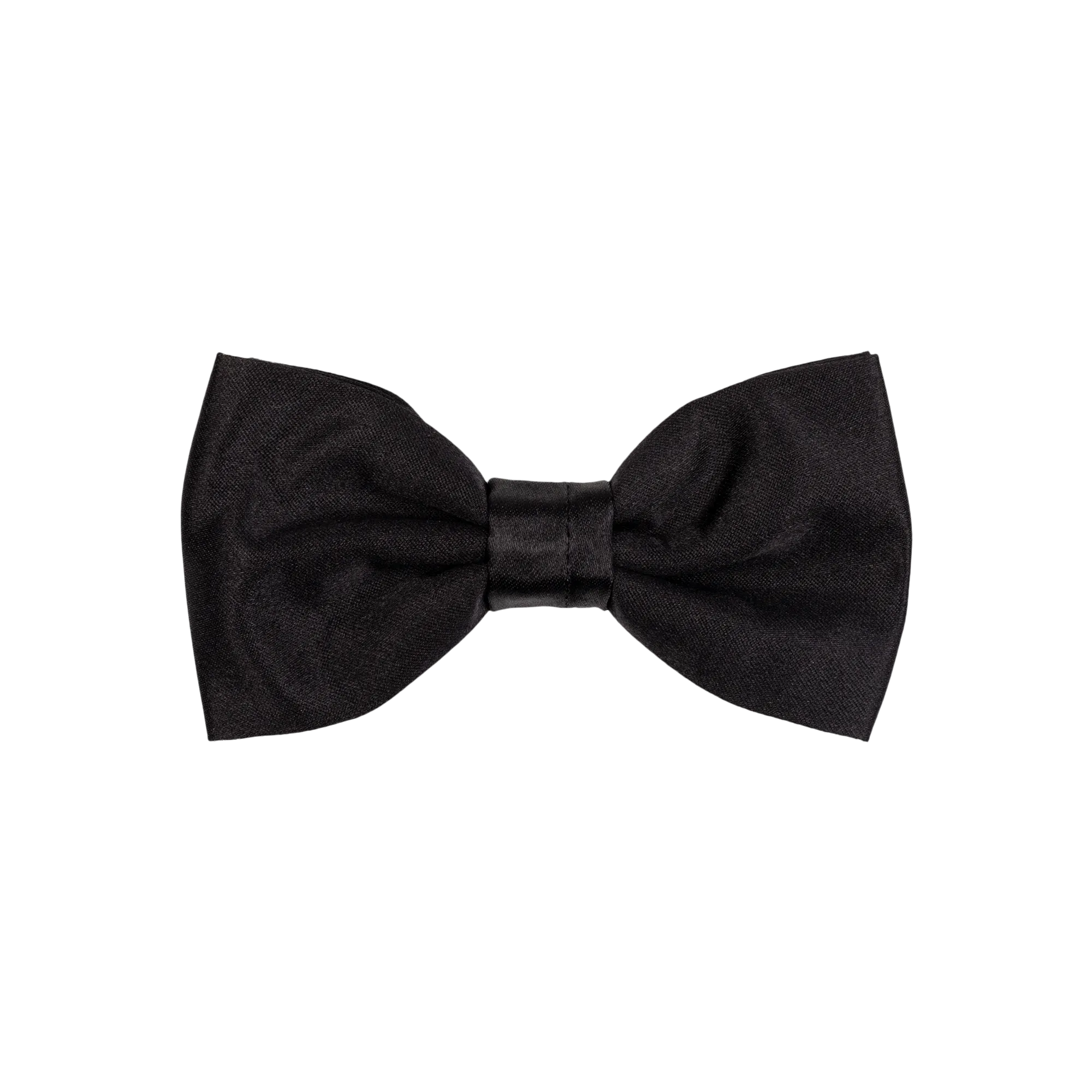 Papillon nero seta