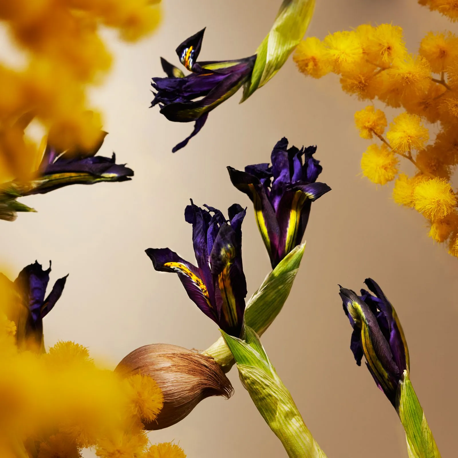  RITUALS   Orris Mimosa - Mini bastoncini profumati | 
